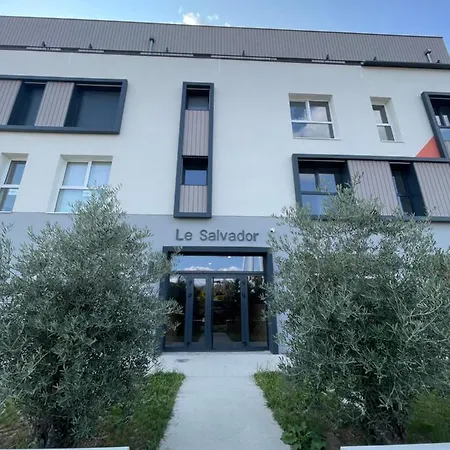 Le Salvador - Appart'Hotel De 18M2 A 44M2 La Talaudiere Exterior photo